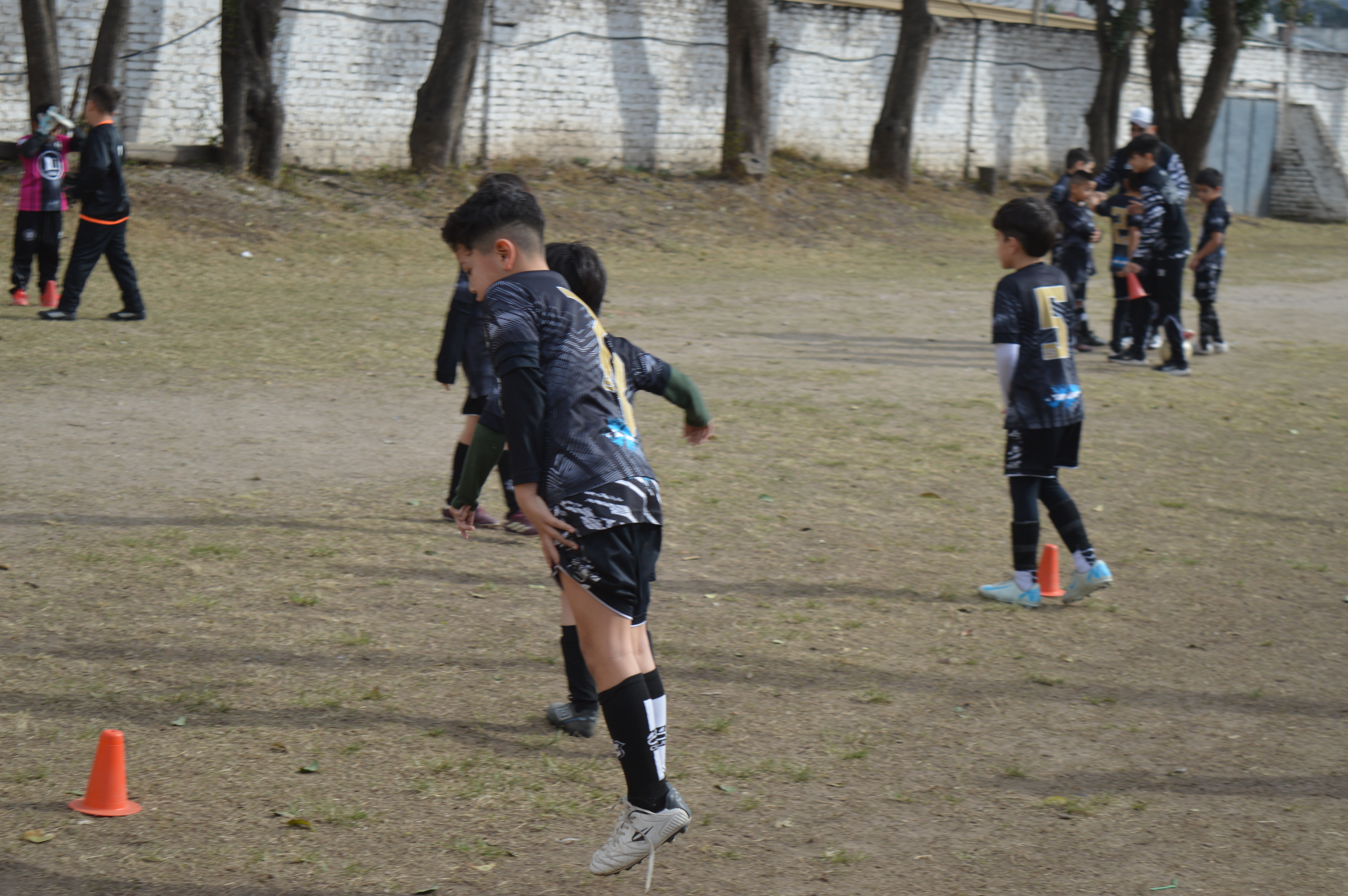 Imagen 1